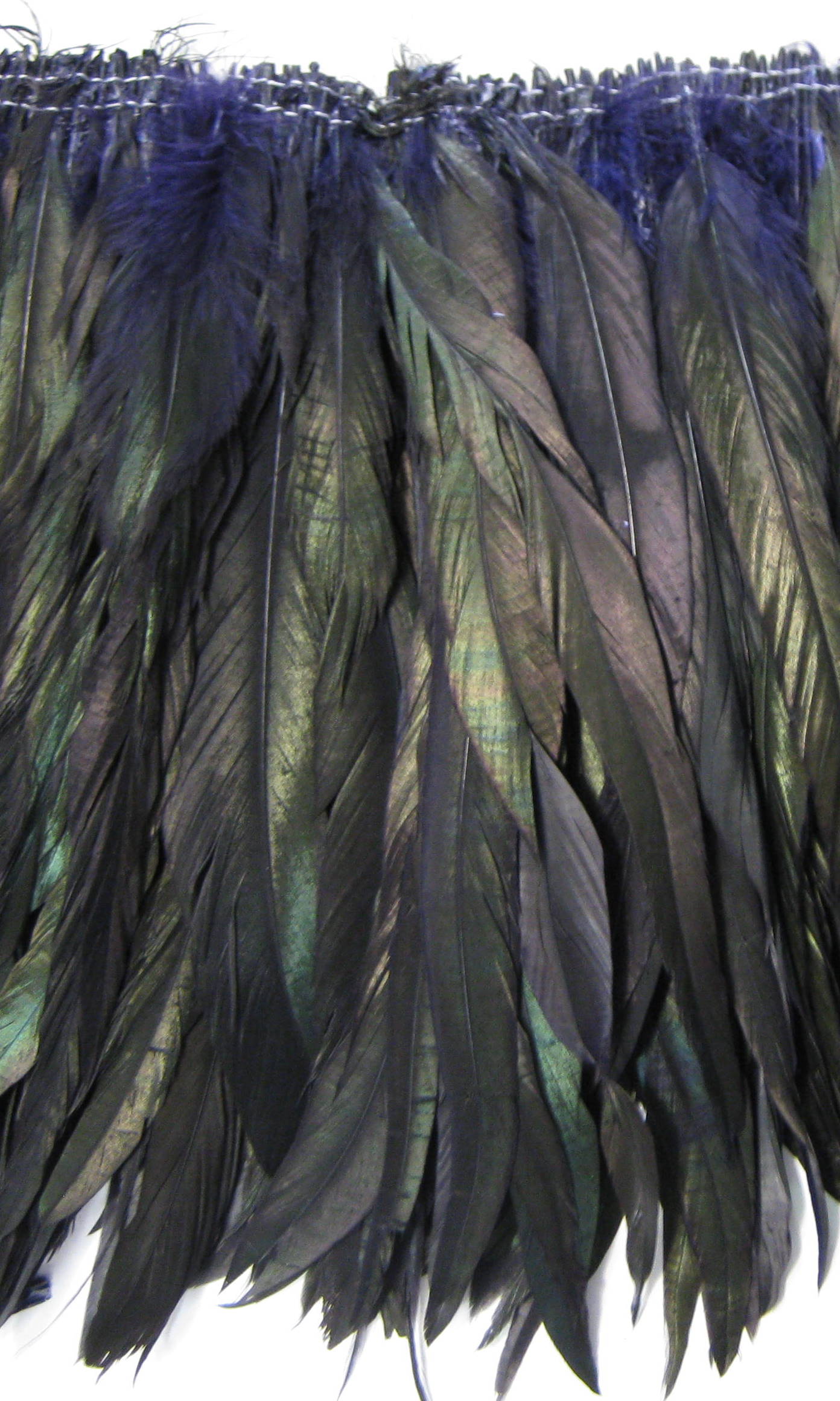 COCK FEATHER COCK FEATHER